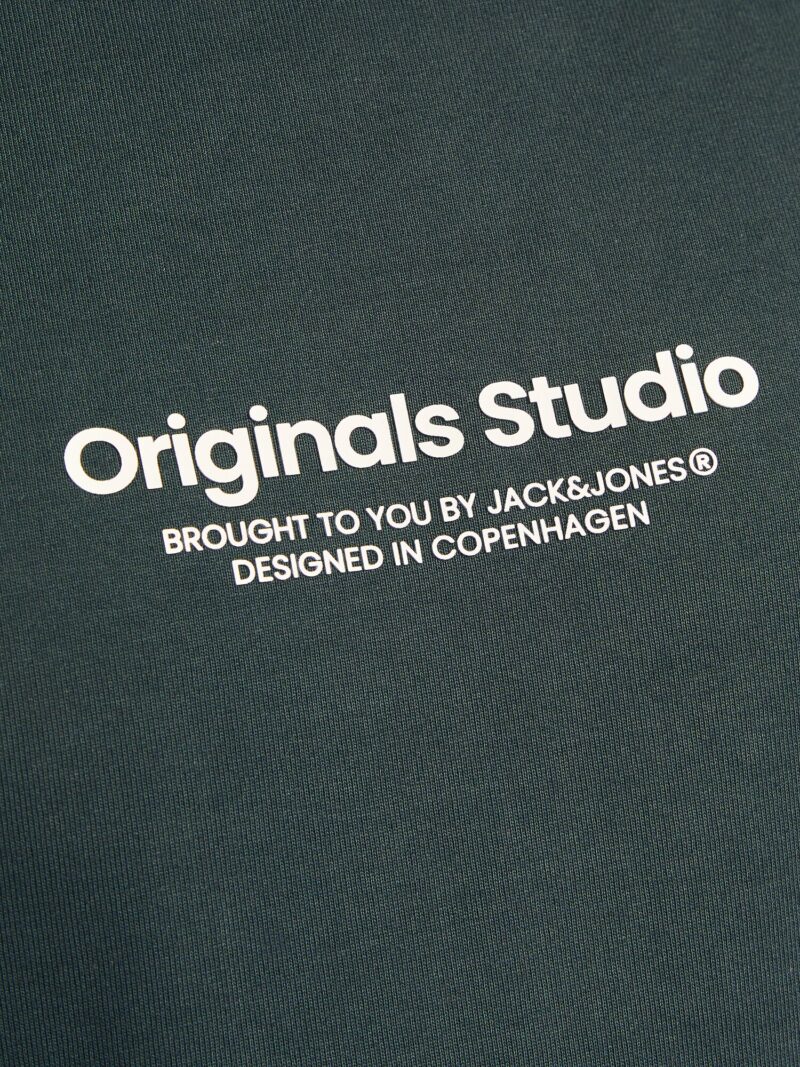 Original Jack & Jones Plus Tricou 'JORVESTERBRO'  verde pin / alb