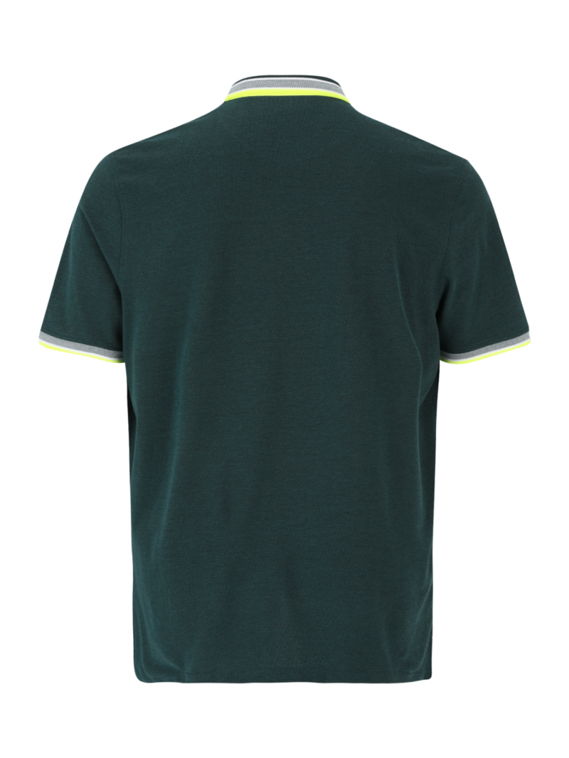 Jack & Jones Plus Tricou 'Paulos'  verde măr / verde pin / alb