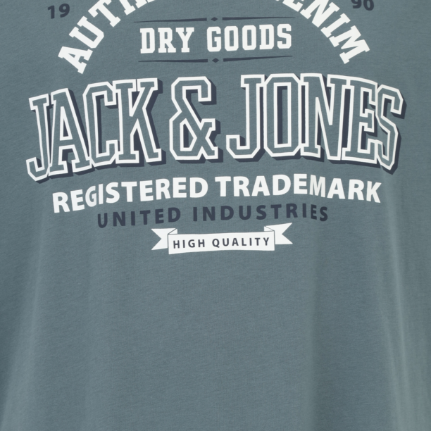 Jack & Jones Plus Tricou  albastru porumbel / negru / alb preţ