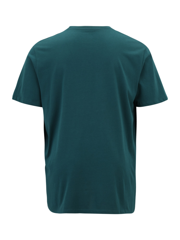 Jack & Jones Plus Tricou  verde smarald / verde pin / alb