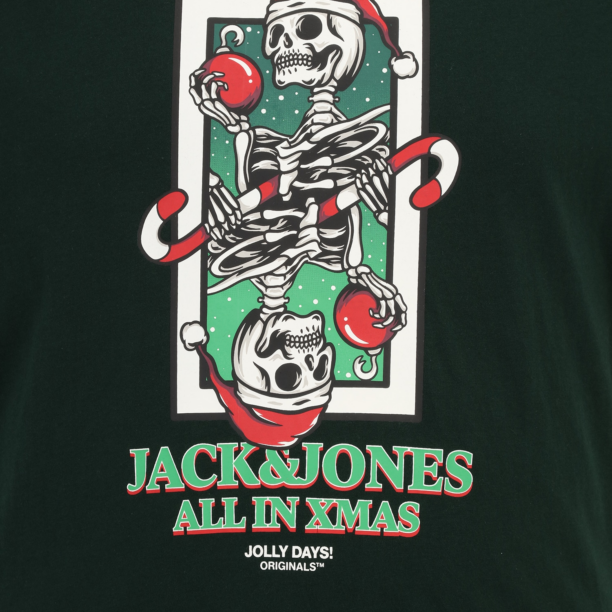 Jack & Jones Plus Tricou  verde / verde pin / roșu / alb preţ