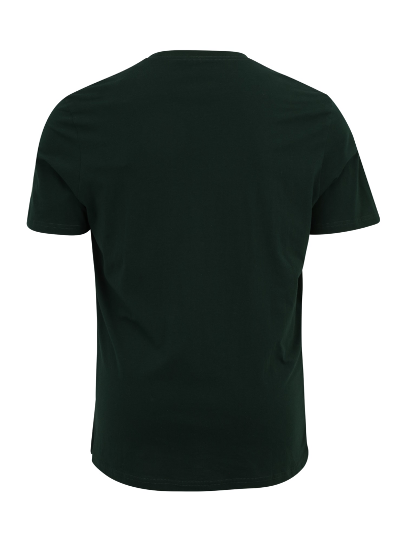 Jack & Jones Plus Tricou  verde / verde pin / roșu / alb