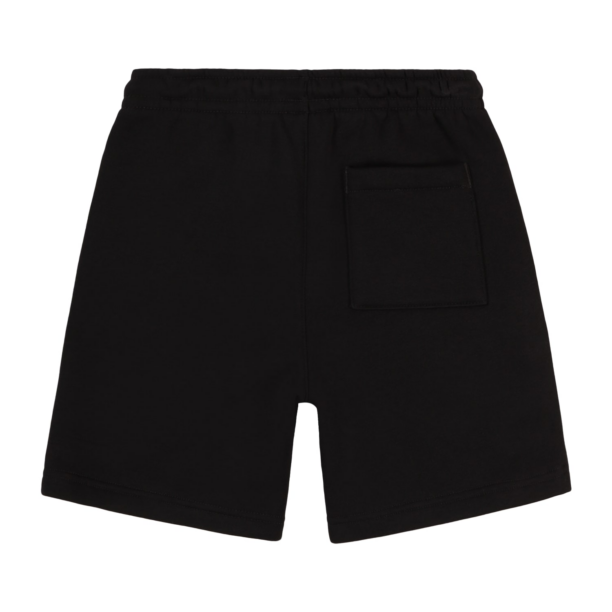 Jordan Pantaloni 'BROOKLYN'  negru / alb