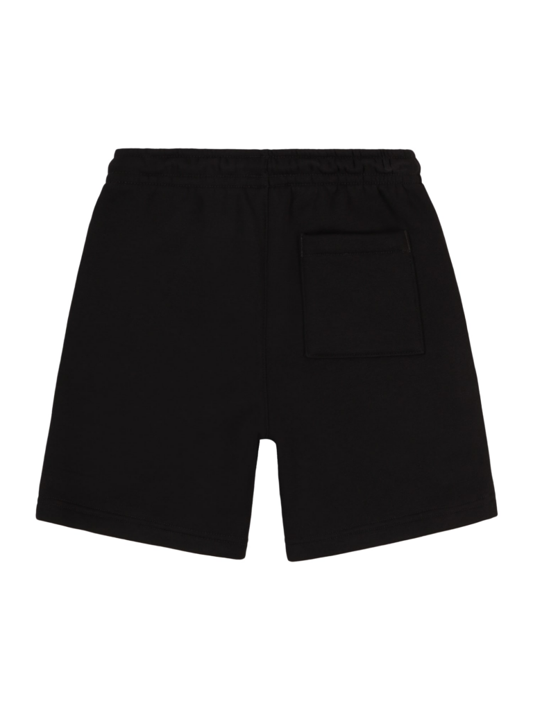 Jordan Pantaloni 'BROOKLYN'  negru / alb