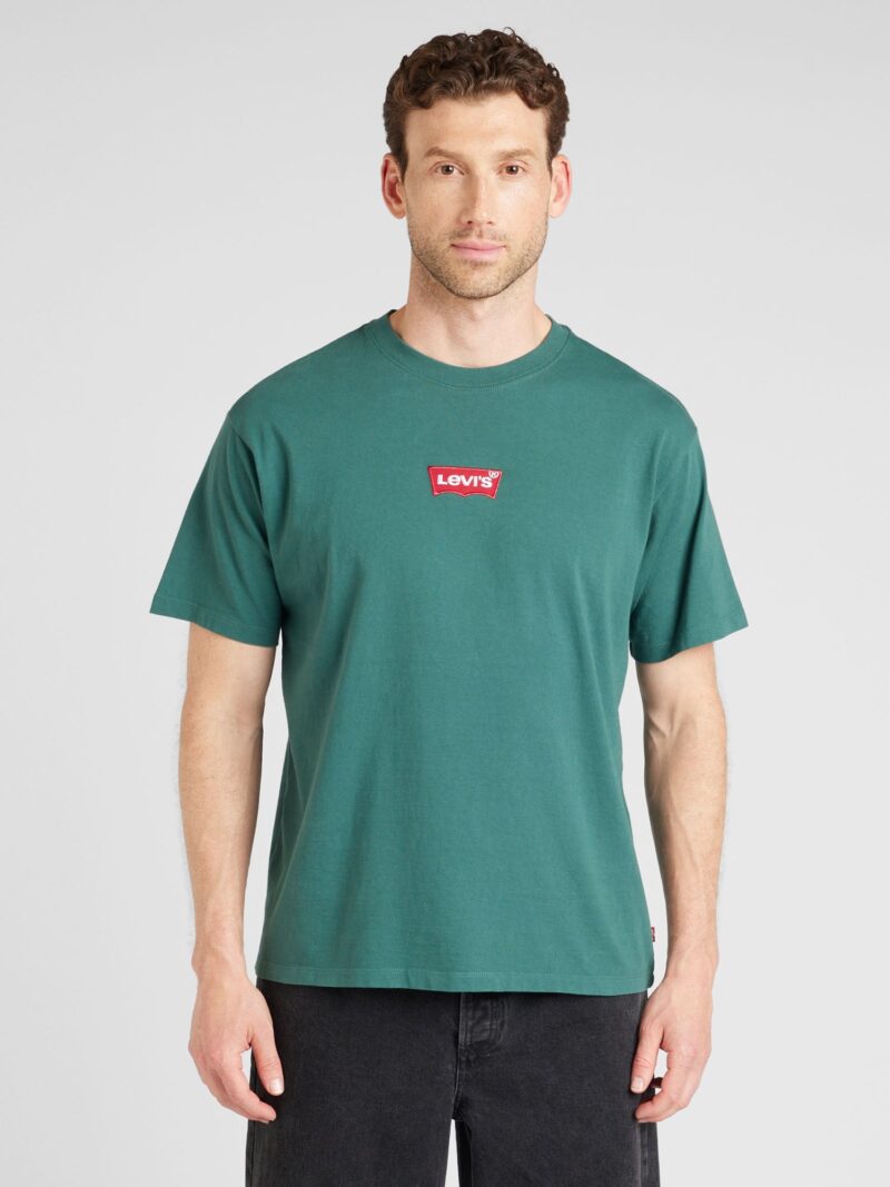 Cumpăra LEVI'S ® Tricou 'Vintage Fit Graphic Tee'  verde / roșu / alb