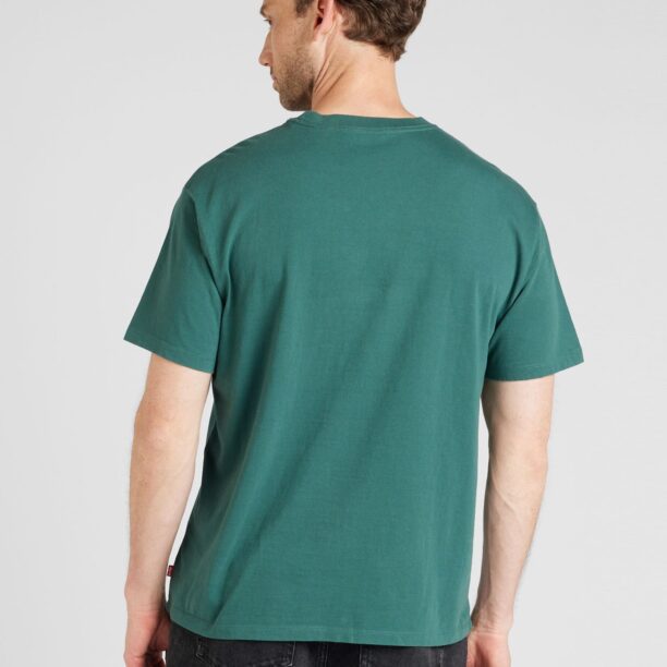 Preţ LEVI'S ® Tricou 'Vintage Fit Graphic Tee'  verde / roșu / alb