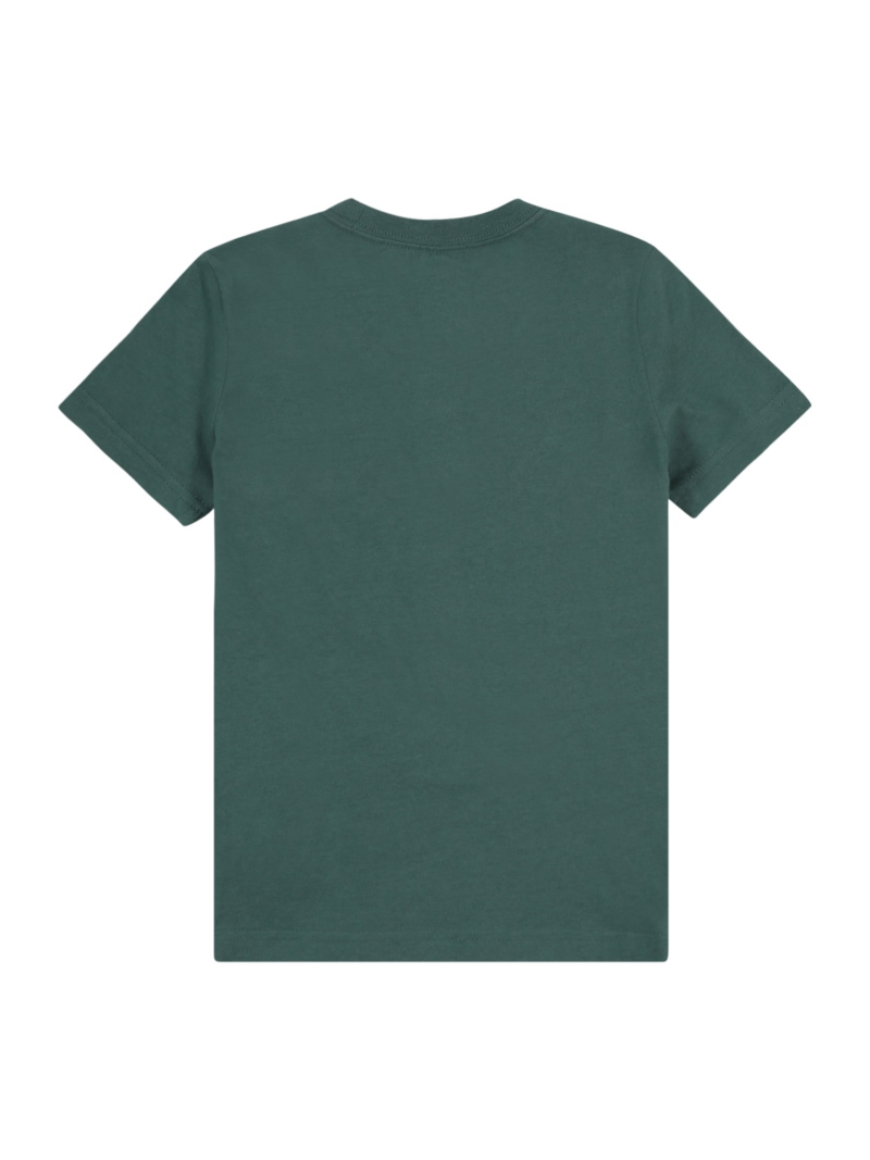 Levi's Kids Tricou  albastru pastel / verde închis / alb