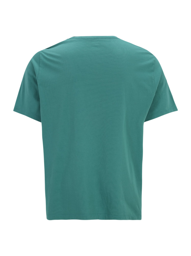 Levi's® Big & Tall Tricou 'Big Original HM Tee'  verde petrol / roșu / alb