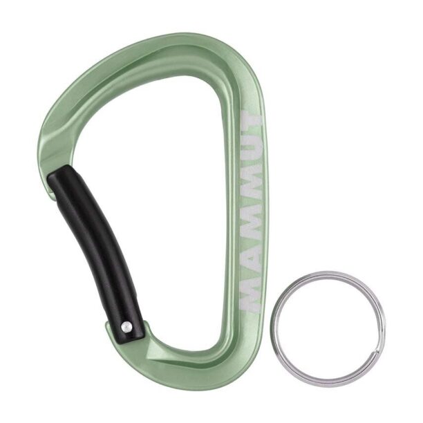 Mammut cârlig Mini Carabiner Workhorse Keylock L culoarea verde