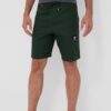 Mammut pantaloni scurți outdoor Massone culoarea verde