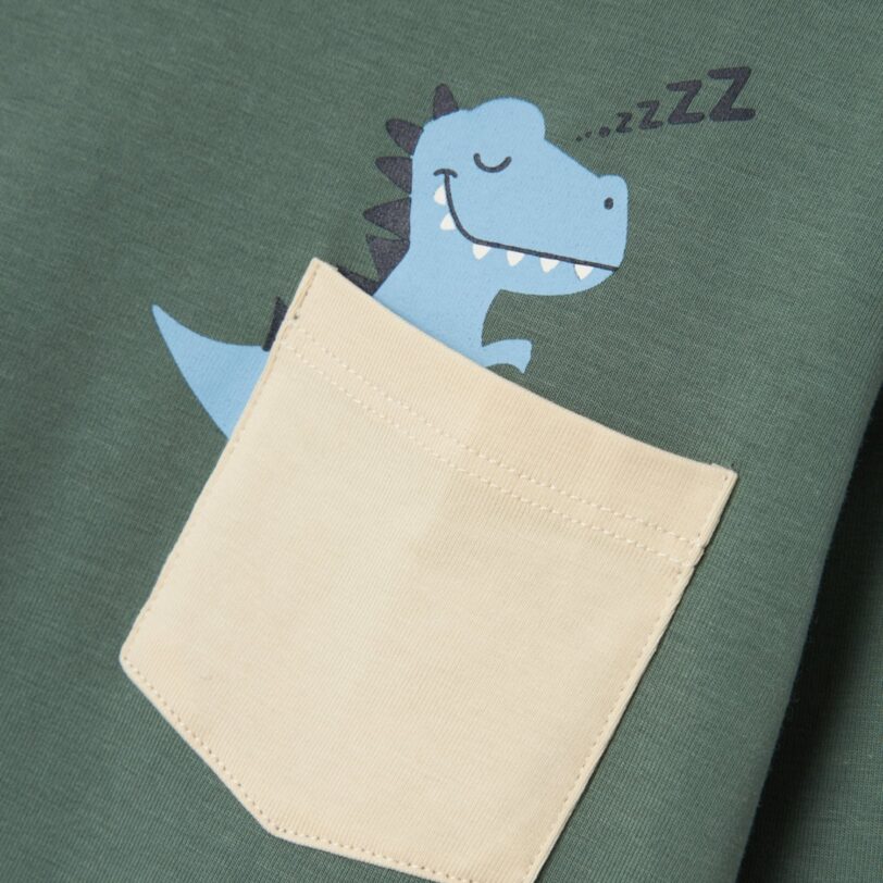NAME IT Pijamale 'NMMRADE'  bej / albastru deschis / verde pin preţ