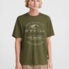 O'NEILL Tricou  gri / verde