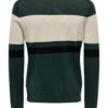 Only & Sons Pulover 'ONSWYLER'  crem / verde închis / negru