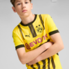 PUMA Tricou funcțional 'BVB Cup'  galben / lila / negru