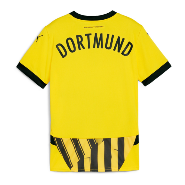 Preţ PUMA Tricou funcțional 'BVB Cup'  galben / lila / negru