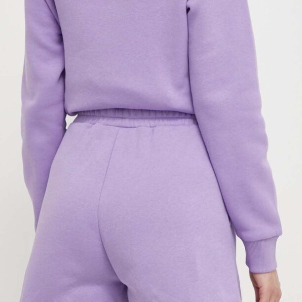 culoarea violet