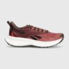 Reebok pantofi de alergat Floatride Energy 5 Adventure culoarea bordo