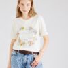 Superdry Tricou  bej deschis / galben pastel / verde mentă / argintiu