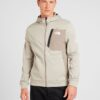 THE NORTH FACE Jachetă  fleece funcțională  gri taupe / grej / alb