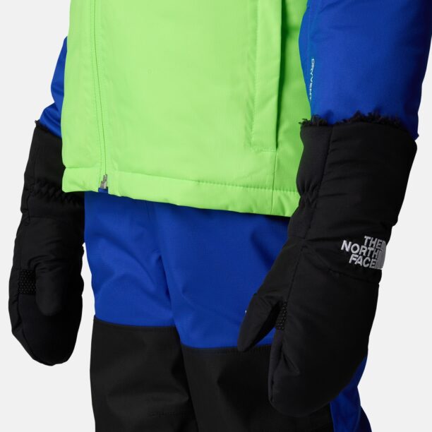 THE NORTH FACE Mănuși fără degete  negru