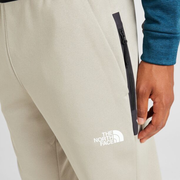 Cumpăra THE NORTH FACE Pantaloni outdoor  gri taupe / grej / negru / alb