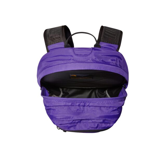 Cumpăra THE NORTH FACE Rucsac sport 'BOREALIS '  gri deschis / lila / negru