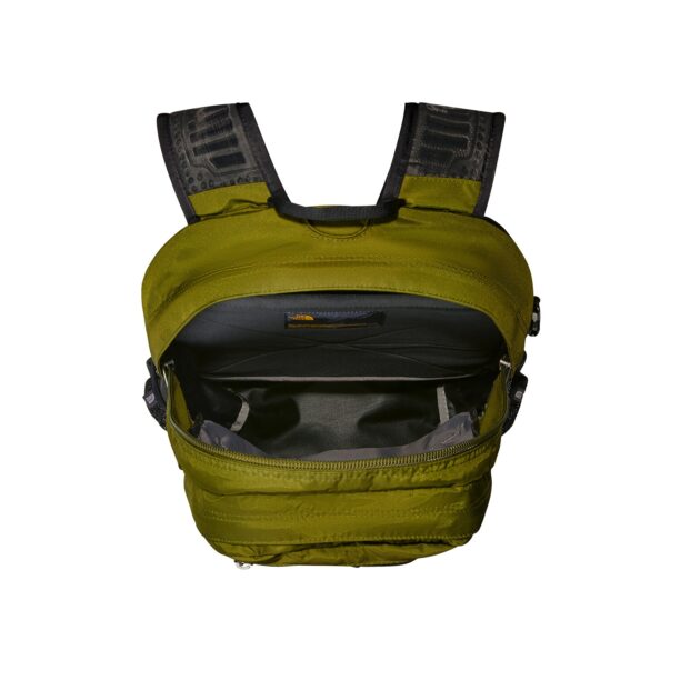 Cumpăra THE NORTH FACE Rucsac sport 'BOREALIS'  verde / negru