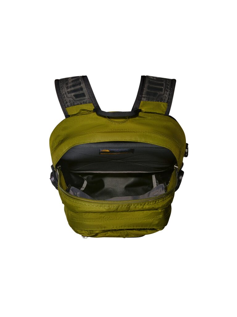 Cumpăra THE NORTH FACE Rucsac sport 'BOREALIS'  verde / negru