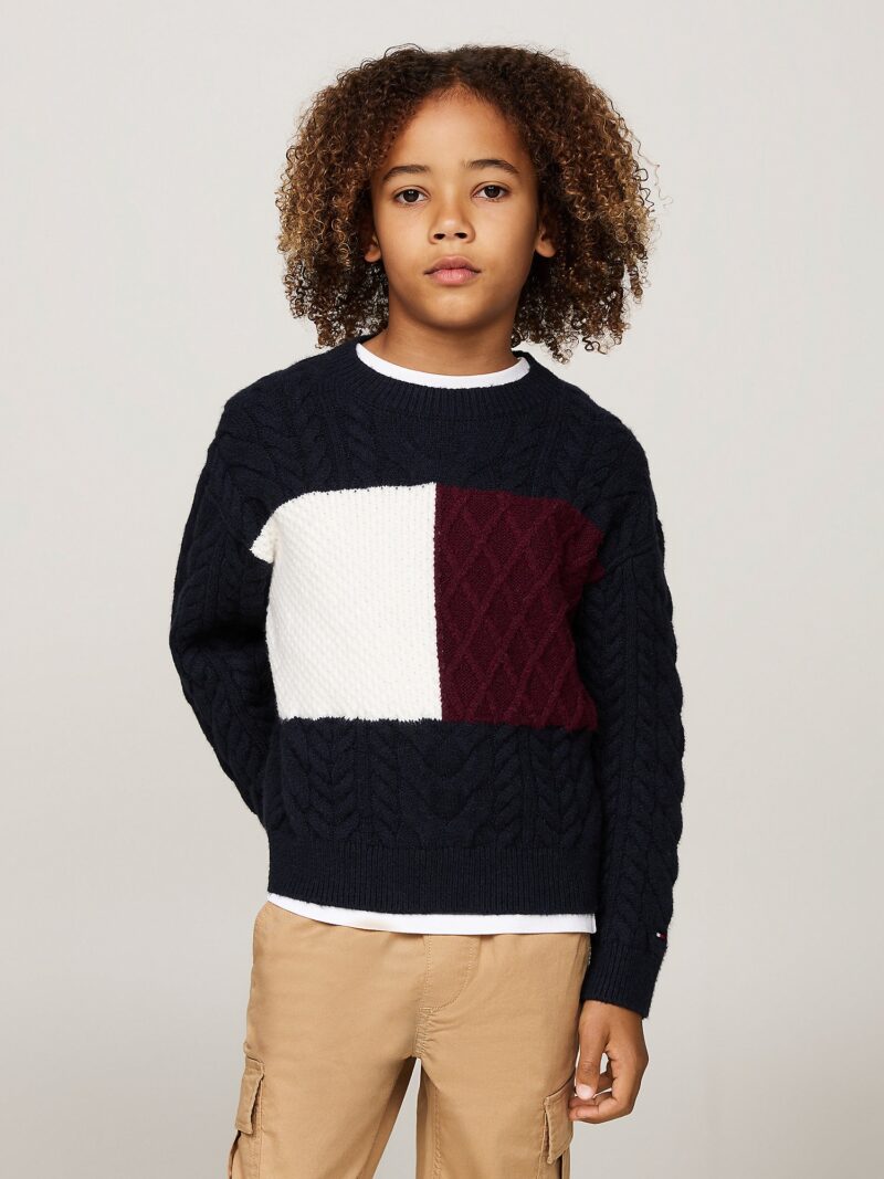 TOMMY HILFIGER Pulover  albastru închis / roșu bordeaux / alb