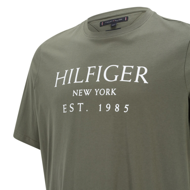 Tommy Hilfiger Big & Tall Tricou  verde / alb preţ