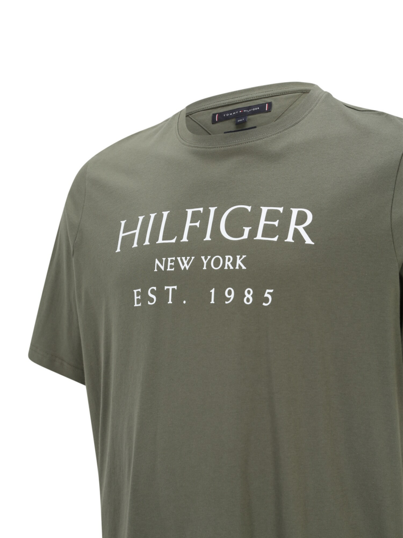 Tommy Hilfiger Big & Tall Tricou  verde / alb preţ