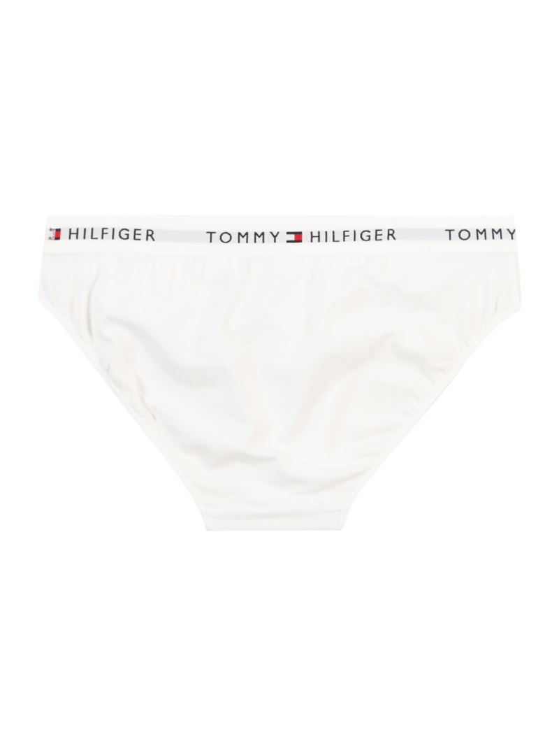 Tommy Hilfiger Underwear Chiloţi  bleumarin / gri / alb