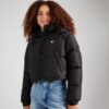 Tommy Jeans Geacă de iarnă 'ALASKA'  negru