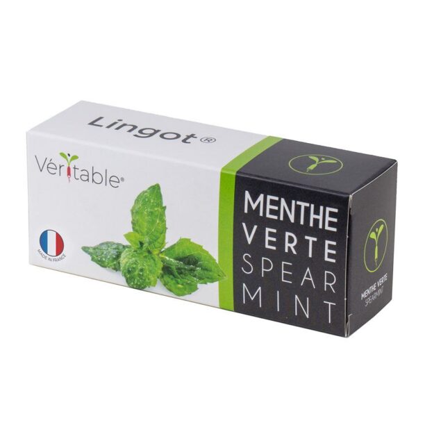 Veritable - Insertie de seminte menta