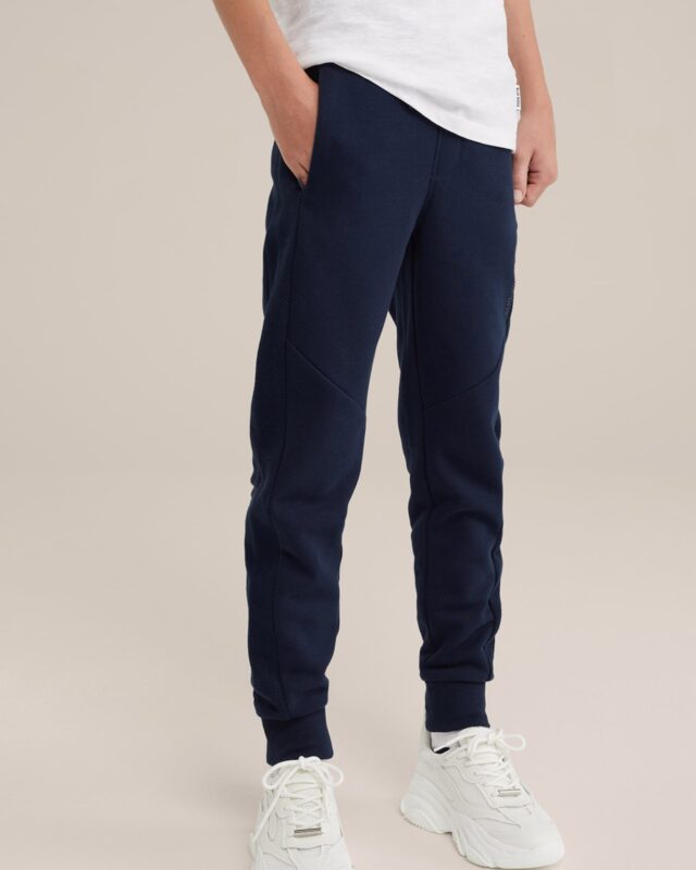 WE Fashion Pantaloni  bleumarin