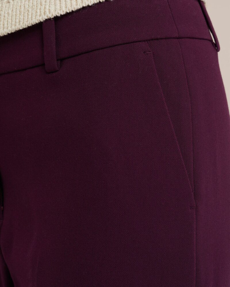 Preţ WE Fashion Pantaloni cu dungă  roșu bordeaux / roşu închis