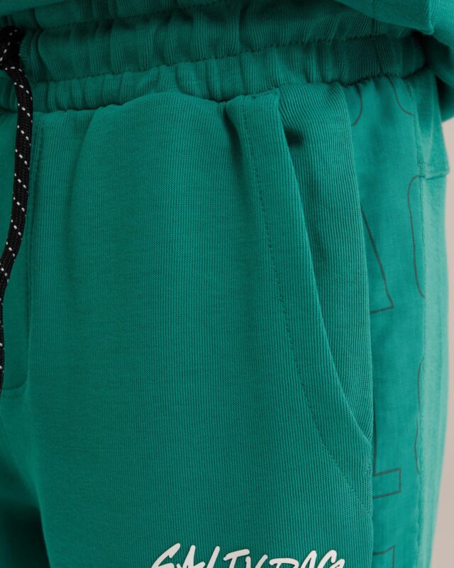 WE Fashion Pantaloni  gri metalic / verde jad / alb