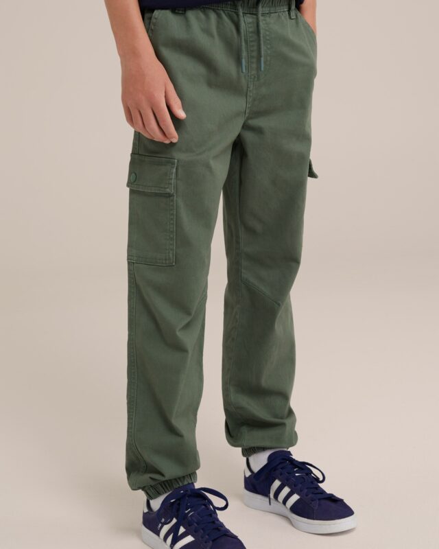 WE Fashion Pantaloni  verde