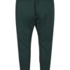 Zizzi Pantaloni  verde închis