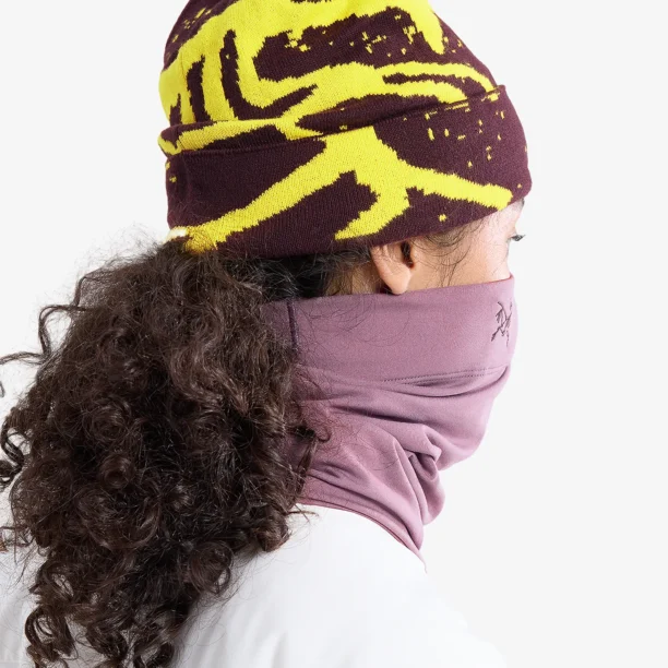 Preţ Bandana circulara Arcteryx Rho Neck Gaiter Long - interstellar