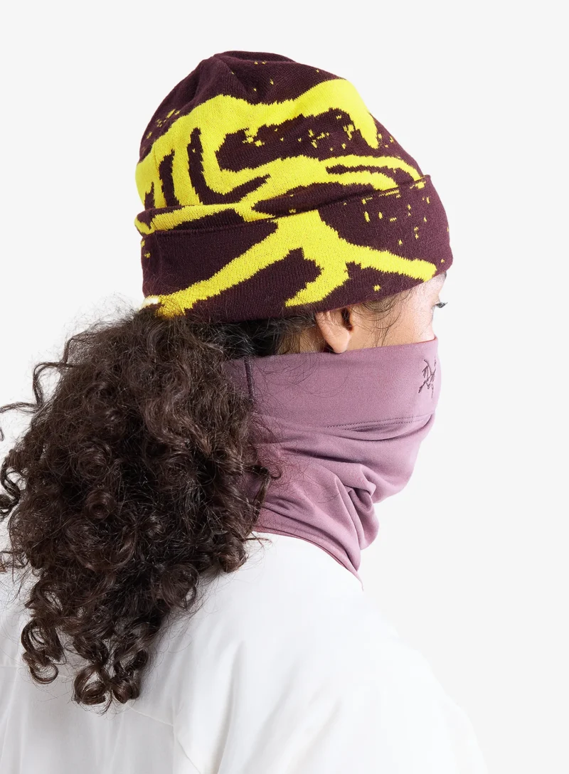 Preţ Bandana circulara Arcteryx Rho Neck Gaiter Long - interstellar