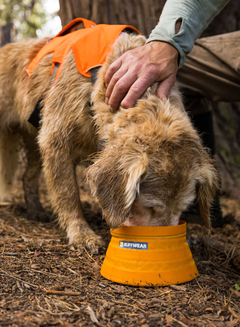 Bol pentru câini Ruffwear Bivy Collapsible Dog Bowl - salamander orange preţ