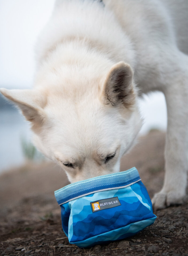 Bol pentru câini Ruffwear Quencher Bowl - coastal mountains preţ