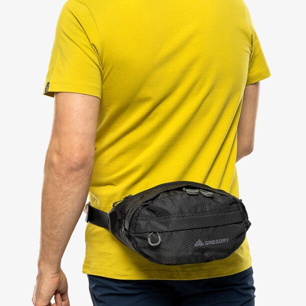 Preţ Borsetă Gregory Nano Waistpack SM - obsidian black