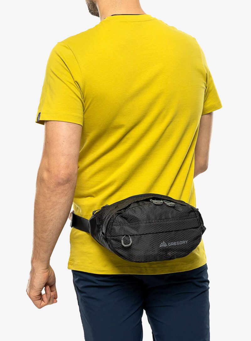 Preţ Borsetă Gregory Nano Waistpack SM - obsidian black