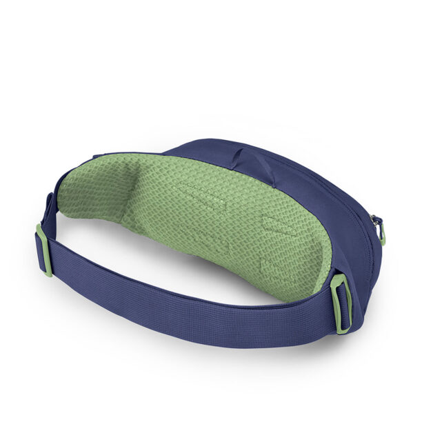 Borsetă de sold Osprey Daylite Waist - blue spikemoss/alkaline preţ