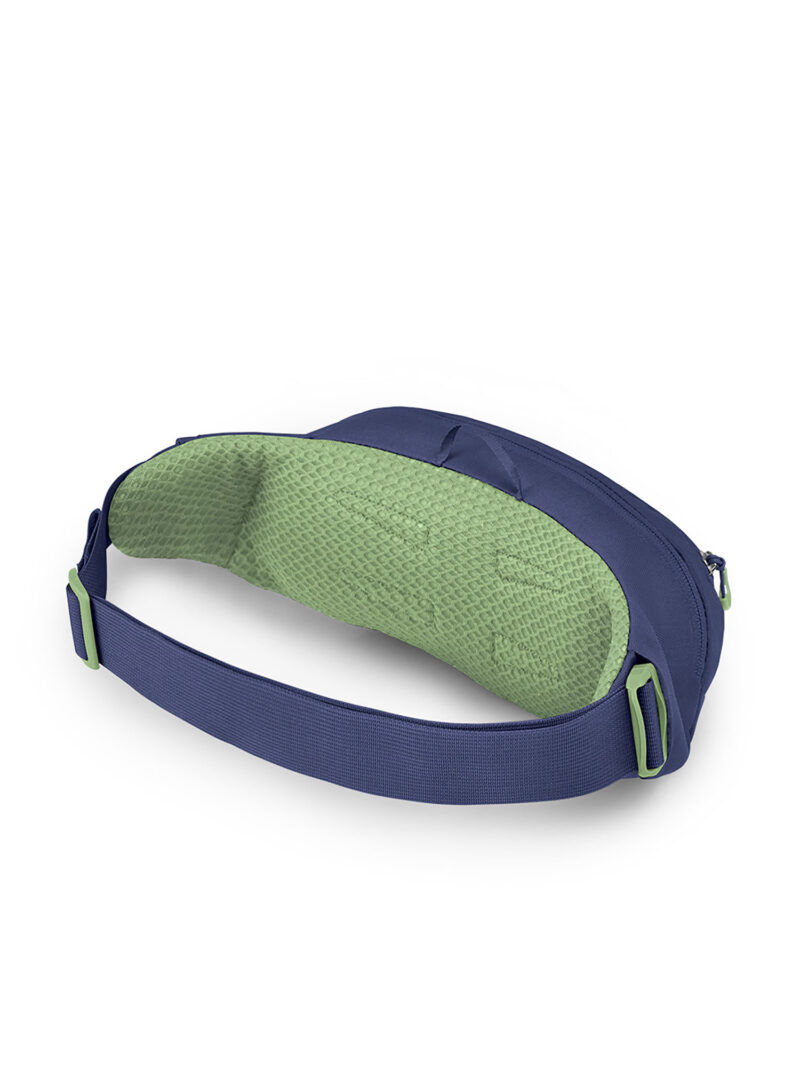 Borsetă de sold Osprey Daylite Waist - blue spikemoss/alkaline preţ