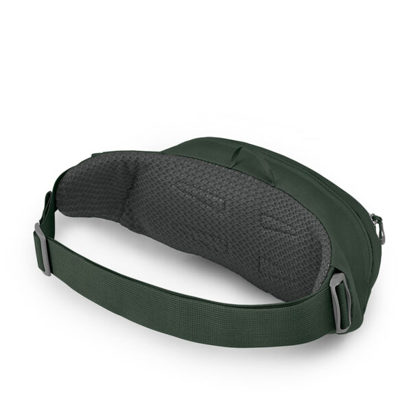 Borsetă de sold Osprey Daylite Waist - green belt/green canopy preţ