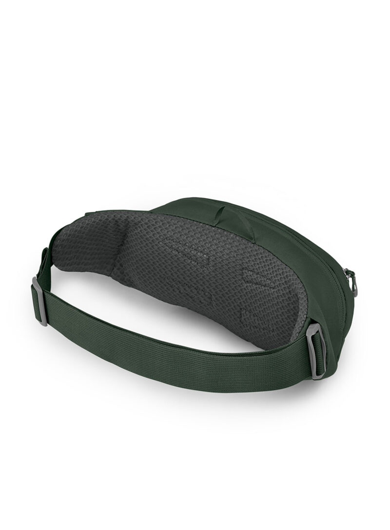 Borsetă de sold Osprey Daylite Waist - green belt/green canopy preţ