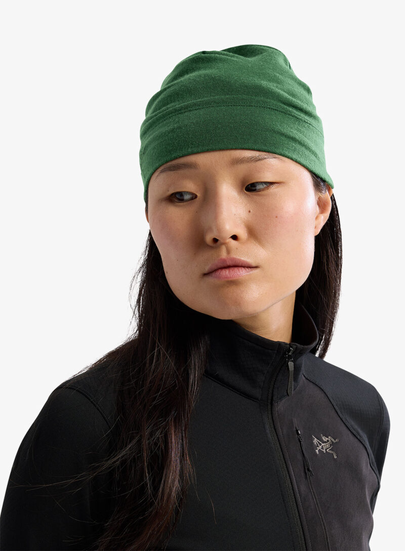 Caciula Arcteryx Rho Lightweight Wool Toque - eden preţ